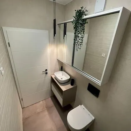 Apartment Vila Stanic With Pool *